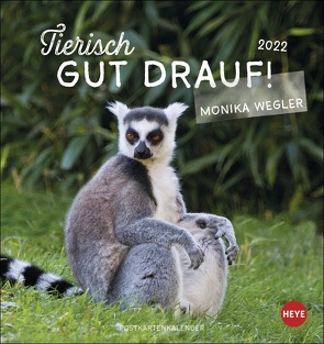 Tierisch gut drauf Postkartenkalender 2022 von Heye, Wegler,  Monika