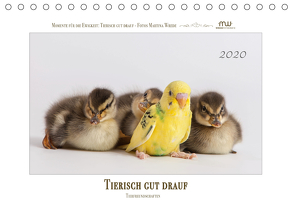 Tierisch gut drauf – Tierfreundschaften (Tischkalender 2020 DIN A5 quer) von Wrede,  Martina