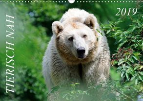 Tierisch nah / Geburtstagskalender (Wandkalender 2019 DIN A3 quer) von Nonstopfoto