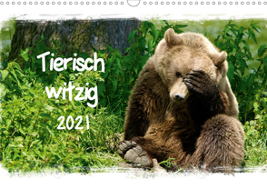 Tierisch witzig (Wandkalender 2021 DIN A3 quer) von / Kottal,  Elsner