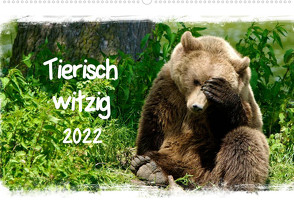 Tierisch witzig (Wandkalender 2022 DIN A2 quer) von / Kottal,  Elsner