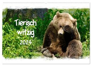 Tierisch witzig (Wandkalender 2024 DIN A2 quer), CALVENDO Monatskalender von / Kottal,  Elsner