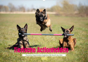 Tierische Actionhelden (Wandkalender 2023 DIN A2 quer) von Bellyeu,  Katrin