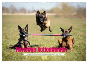 Tierische Actionhelden (Wandkalender 2024 DIN A2 quer), CALVENDO Monatskalender von Bellyeu,  Katrin