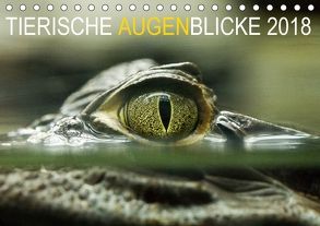 Tierische Augenblicke 2018 (Tischkalender 2018 DIN A5 quer) von Jentschura,  Katja