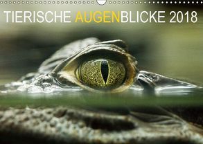 Tierische Augenblicke 2018 (Wandkalender 2018 DIN A3 quer) von Jentschura,  Katja