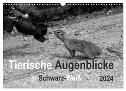 Tierische Augenblicke in Schwarz-Weiß (Wandkalender 2024 DIN A3 quer), CALVENDO Monatskalender von Drews,  Marianne