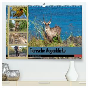 Tierische Augenblicke in Südafrika (hochwertiger Premium Wandkalender 2024 DIN A2 quer), Kunstdruck in Hochglanz von W. Saul,  Norbert