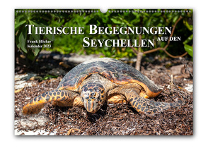 Tierische Begegnungen auf den Seychellen (Wandkalender 2023, DIN-A-3 quer) von Höcker,  Frank