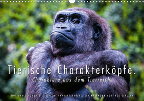 Tierische Charakterköpfe (Wandkalender 2021 DIN A3 quer) von Gerlach,  Ingo