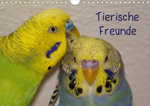 Tierische Freunde (Wandkalender 2021 DIN A4 quer) von kattobello