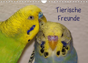 Tierische Freunde (Wandkalender 2022 DIN A4 quer) von kattobello