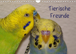 Tierische Freunde (Wandkalender 2023 DIN A4 quer) von kattobello