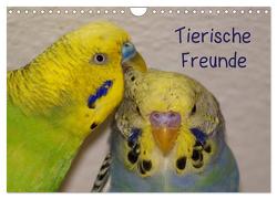 Tierische Freunde (Wandkalender 2024 DIN A4 quer), CALVENDO Monatskalender von Kattobello,  Kattobello