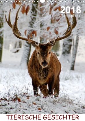 Tierische Gesichter / Planer (Wandkalender 2018 DIN A3 hoch) von Düll,  Sigrun