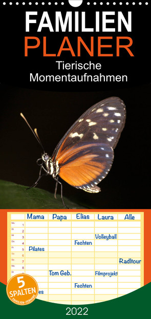 Tierische Momentaufnahmen – Familienplaner hoch (Wandkalender 2022 , 21 cm x 45 cm, hoch) von Krakowski,  Conny