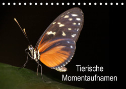 Tierische Momentaufnahmen (Tischkalender 2023 DIN A5 quer) von Krakowski,  Conny