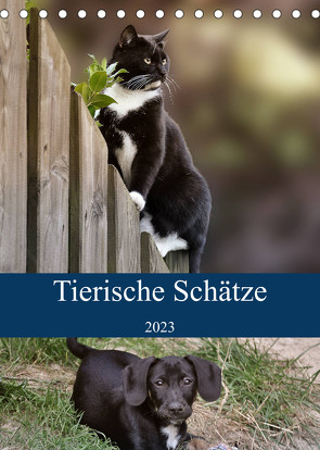 Tierische Schätze (Tischkalender 2023 DIN A5 hoch) von Metternich,  Doris