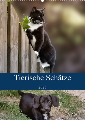 Tierische Schätze (Wandkalender 2023 DIN A2 hoch) von Metternich,  Doris