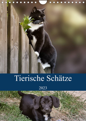 Tierische Schätze (Wandkalender 2023 DIN A4 hoch) von Metternich,  Doris