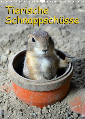 Tierische Schnappschüsse (Wandkalender 2023 DIN A3 hoch) von Kaina,  Miriam