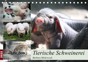 Tierische Schweinerei (Tischkalender 2022 DIN A5 quer) von Mielewczyk,  Barbara