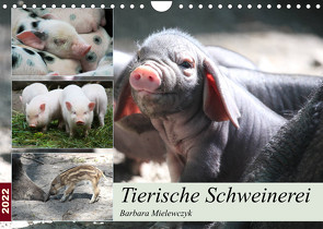 Tierische Schweinerei (Wandkalender 2022 DIN A4 quer) von Mielewczyk,  Barbara