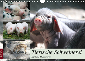 Tierische Schweinerei (Wandkalender 2023 DIN A4 quer) von Mielewczyk,  Barbara