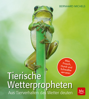 Tierische Wetterpropheten von Michels,  Bernhard