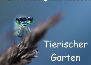 Tierischer Garten (Wandkalender 2018 DIN A2 quer) von Mayer,  Andrea