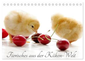 Tierisches aus der Küken-Welt (Tischkalender 2024 DIN A5 quer), CALVENDO Monatskalender von Riedel,  Tanja