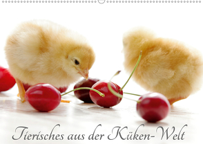 Tierisches aus der Küken-WeltAT-Version (Wandkalender 2021 DIN A2 quer) von Riedel,  Tanja