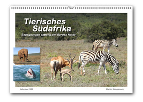 Tierisches Südafrika (Wandkalender 2023, DIN-A-3 quer) von Stubbemann,  Marion