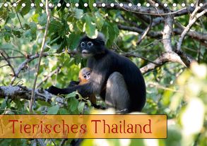 Tierisches Thailand (Tischkalender 2018 DIN A5 quer) von Völcker,  Thomas