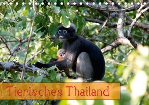 Tierisches Thailand (Tischkalender 2019 DIN A5 quer) von Völcker,  Thomas