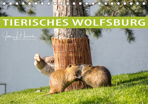 Tierisches Wolfsburg (Tischkalender 2021 DIN A5 quer) von L. Heinrich,  Jens