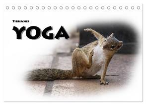 Tierisches Yoga (Tischkalender 2024 DIN A5 quer), CALVENDO Monatskalender von Styppa,  Robert