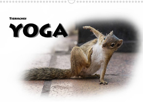 Tierisches Yoga (Wandkalender 2023 DIN A3 quer) von Styppa,  Robert