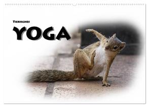 Tierisches Yoga (Wandkalender 2024 DIN A2 quer), CALVENDO Monatskalender von Styppa,  Robert