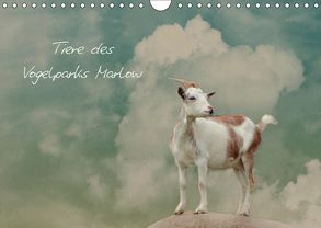 Tierkalender (Wandkalender 2019 DIN A4 quer) von Hultsch,  Heike