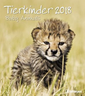 Tierkinder 2018