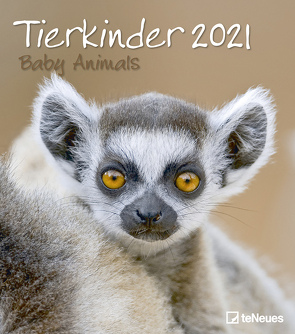 Tierkinder 2021 – Wand-Kalender – 30×34 – Baby-Animals