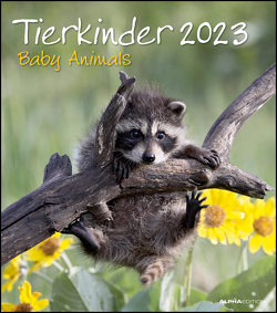 Tierkinder 2023 – Wand-Kalender – 30×34