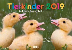 Tierkinder auf dem Bauernhof 2019