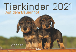 Tierkinder auf dem Bauernhof 2021