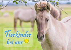 Tierkinder bei uns (Wandkalender 2021 DIN A2 quer) von Kulartz,  Rainer, Plett,  Lisa