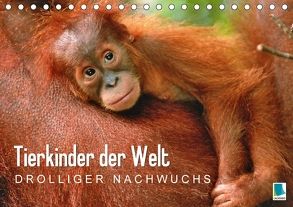 Tierkinder der Welt: Drolliger Nachwuchs (Tischkalender 2018 DIN A5 quer) von CALVENDO