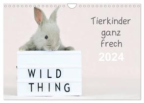 Tierkinder ganz frech (Wandkalender 2024 DIN A4 quer), CALVENDO Monatskalender von Eckelt,  Natalie