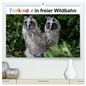 Tierkinder in freier Wildbahn (hochwertiger Premium Wandkalender 2024 DIN A2 quer), Kunstdruck in Hochglanz von Bachmeier,  Günter