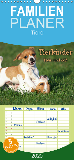 Tierkinder klein und süß – Familienplaner hoch (Wandkalender 2020 , 21 cm x 45 cm, hoch) von Seiboth,  Berit